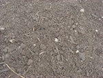Koers Pflanzsubstrat